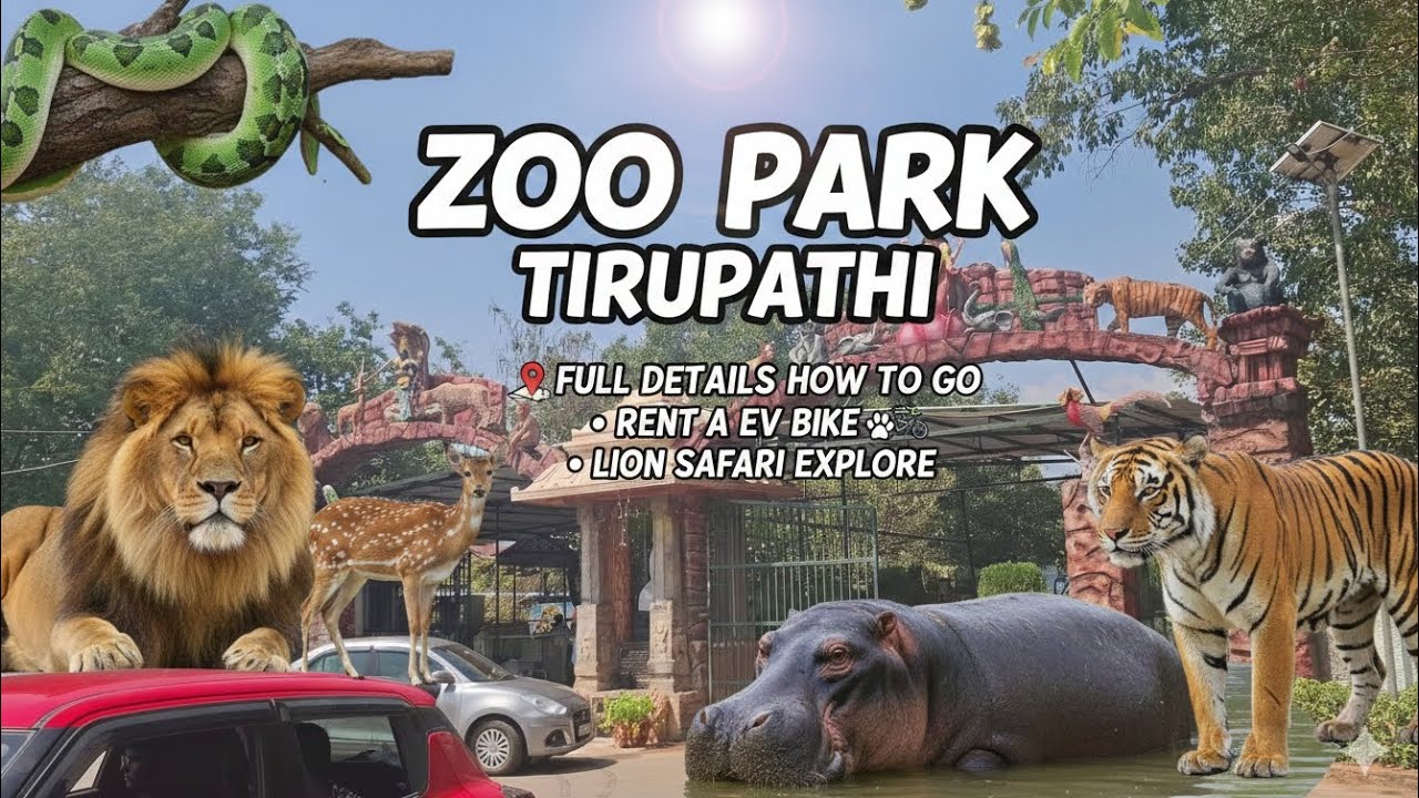 Tirupati Zoo park || lion safari  || full details 