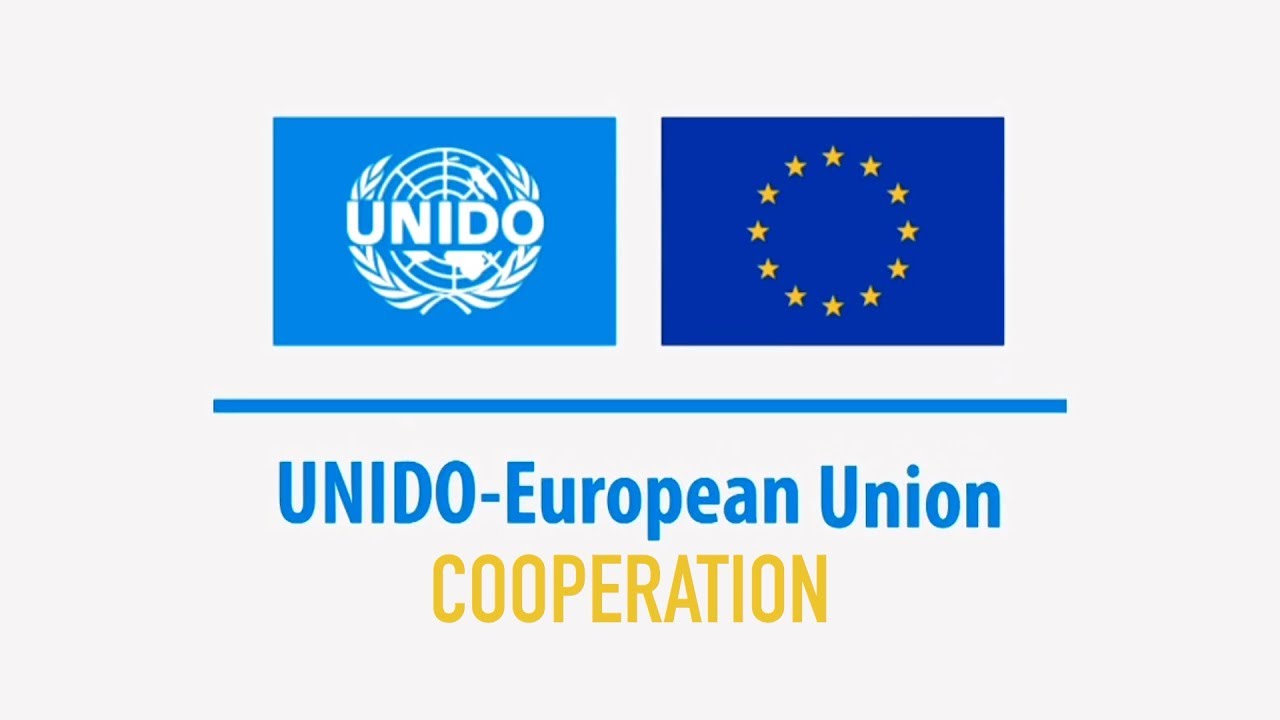 Multilateralism at Work | EU - UNIDO cooperation