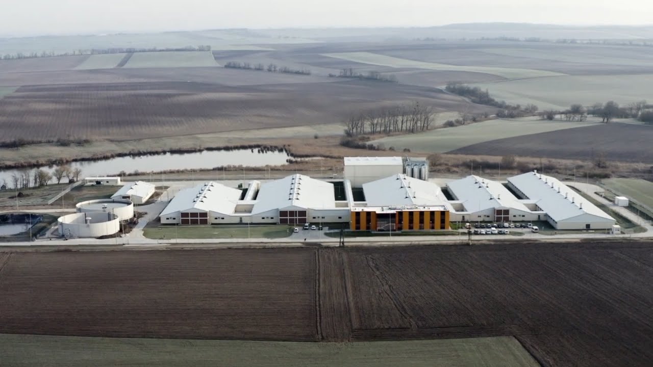 Stalltechnik Bräuer - geschlossener Sauenbetrieb in Westungarn