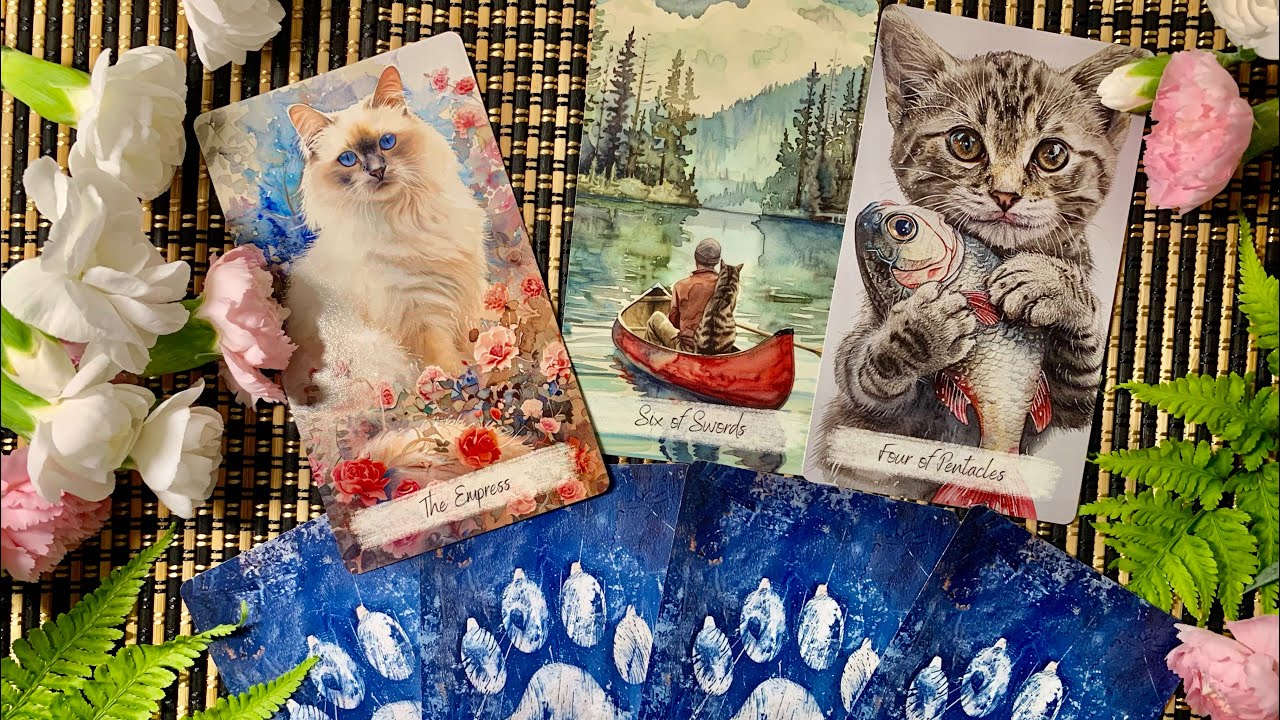 Обзор колоды “ Paw Print Tarot”🐾  «След кошачьей Лапки» 🐈  🐾  Милые акварельные котики.