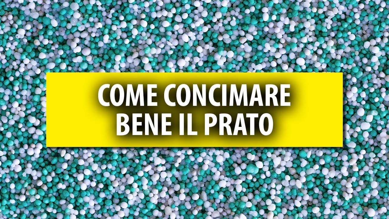 Come CONCIMARE Bene il Prato. Consigli pratici.