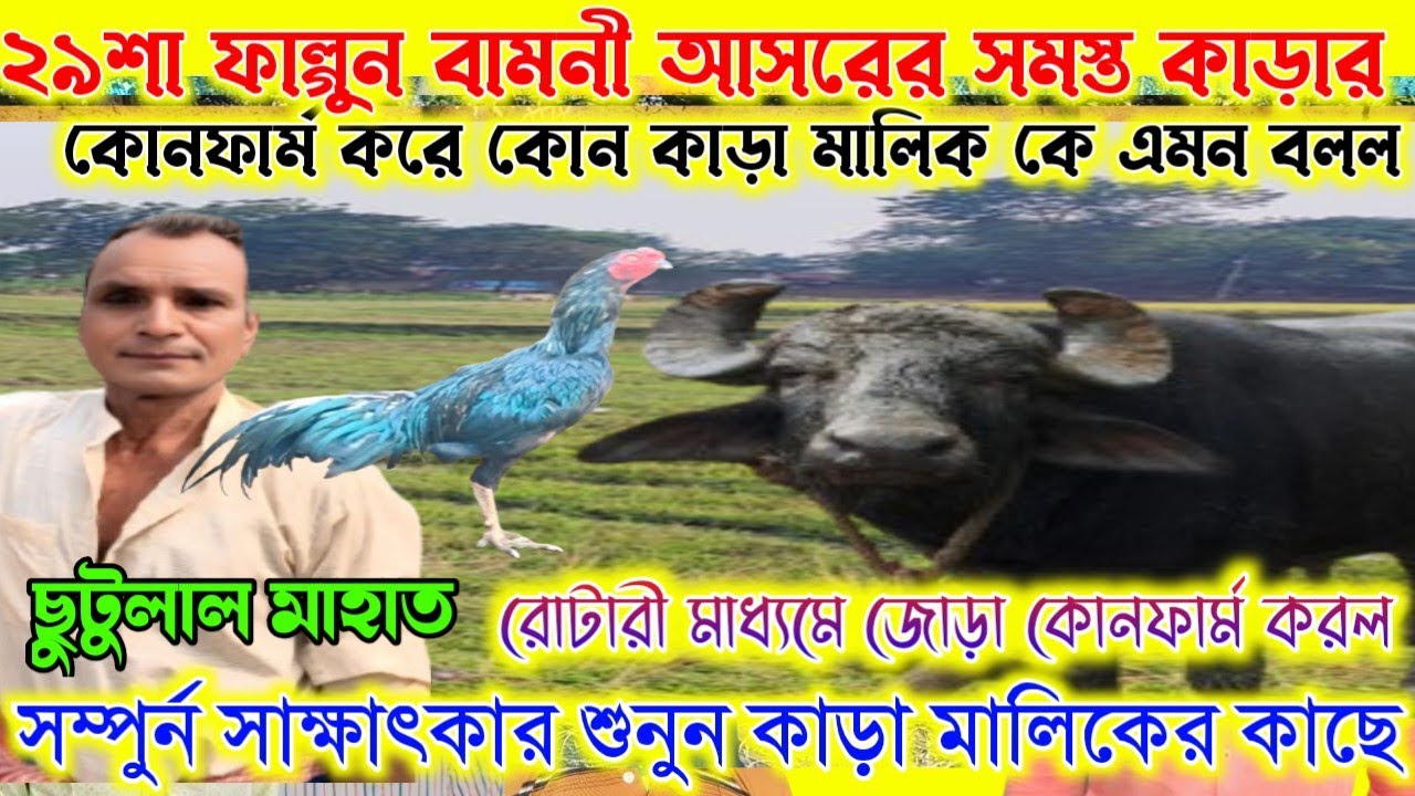 বামনী ছুটুলাল মাহাতোর 🔥 নতুন কাড়ার জোড়া কোনফার্ম করে। কোন মালিক কে এমন বলেন। সাক্ষাৎকার শুনুন।