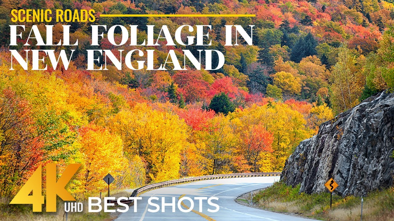Peaceful Fall Road Trip 4K | Scenic Drive in New England - Best Autumn Landscape + Real Sounds