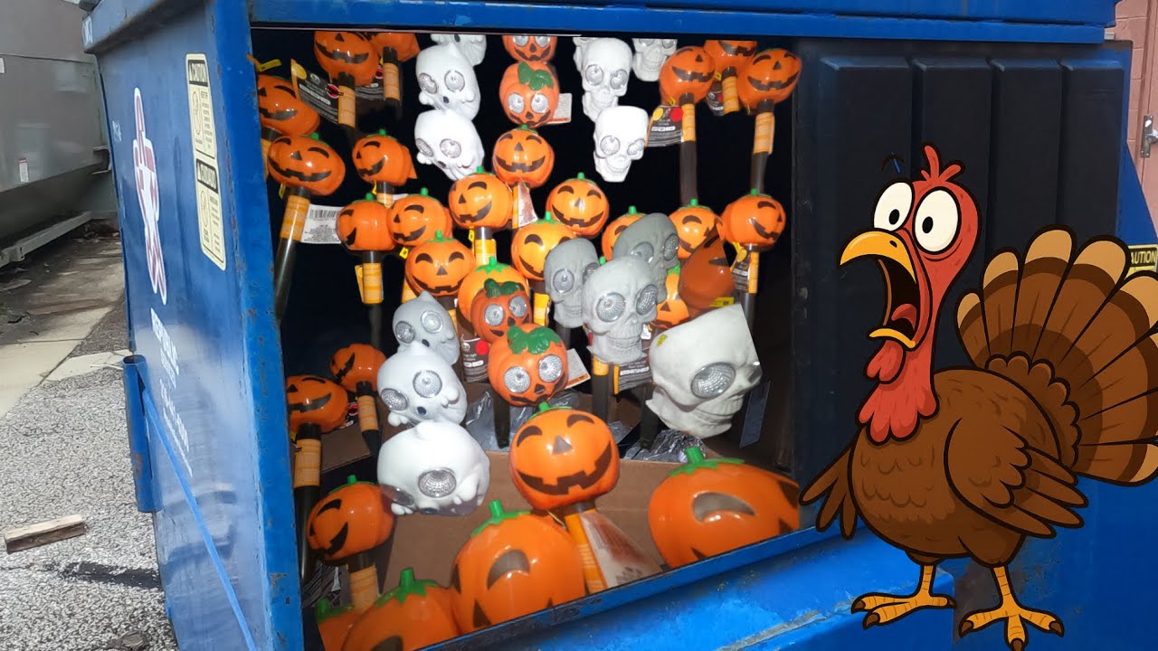 Dumpster Diving- Halloween Solar Lights for Thanskgiving + The Critter Cam Reupload with MORE!