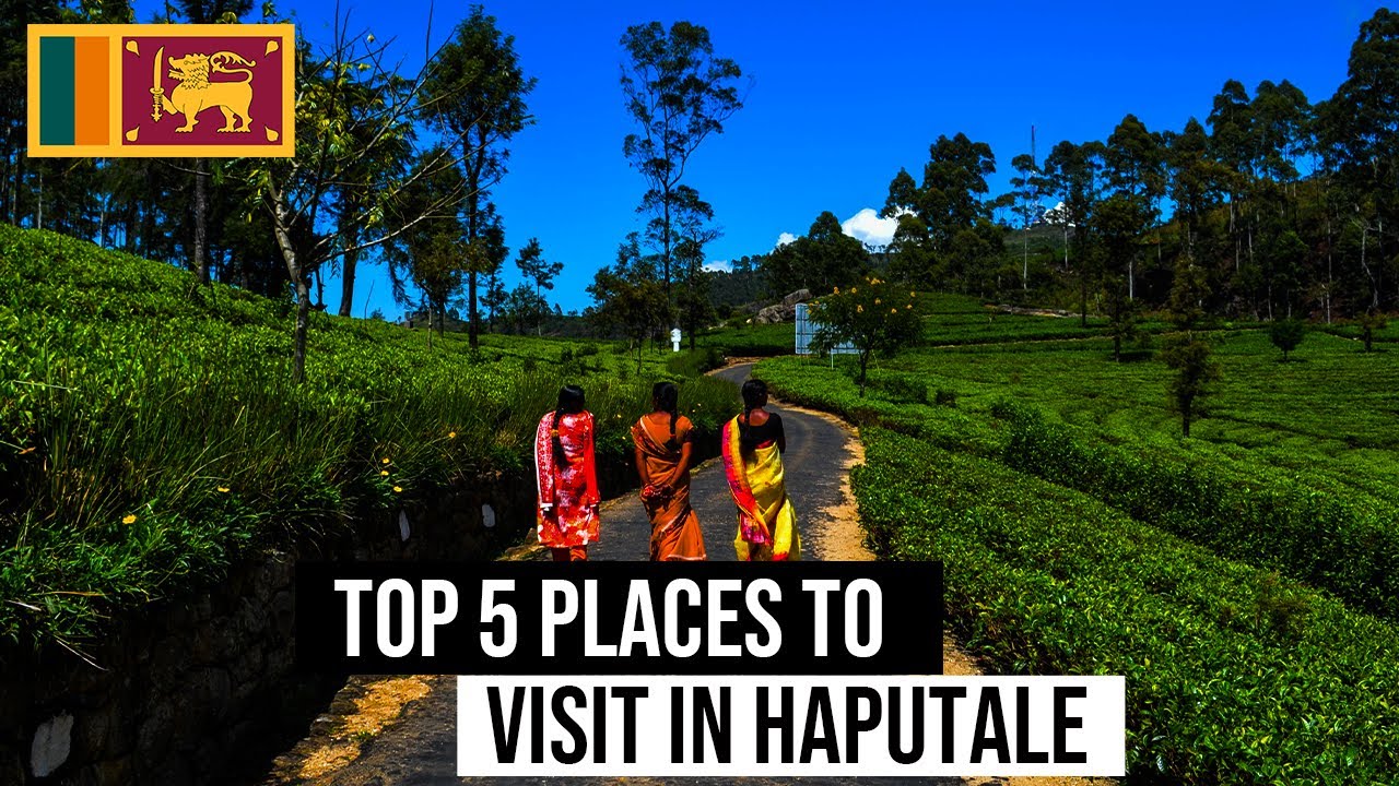 Top 5 places to visit in Haputale | Sunnysl Travels