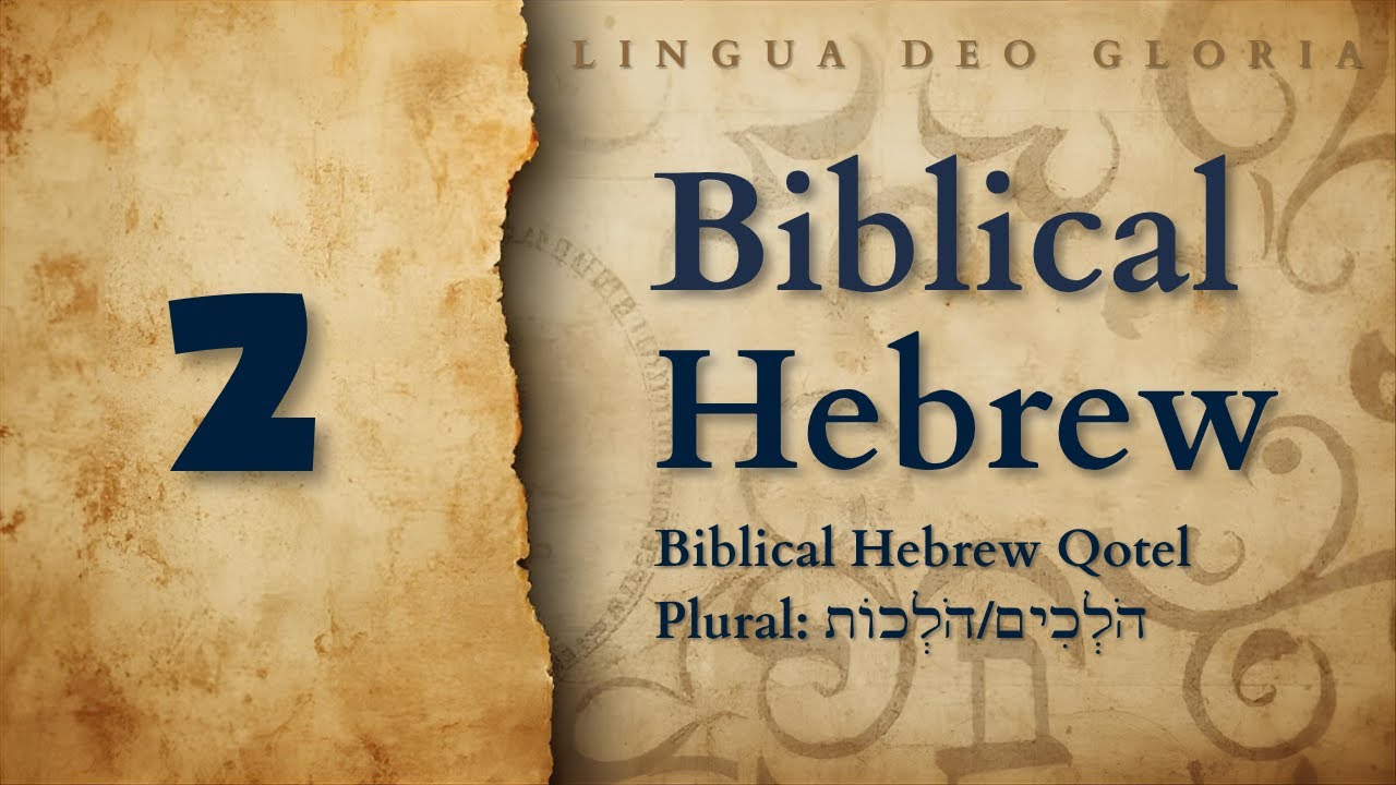 Biblical Hebrew Qotel (Present Tense) - Plural: הֹלְכִים/הֹלְכוֹת