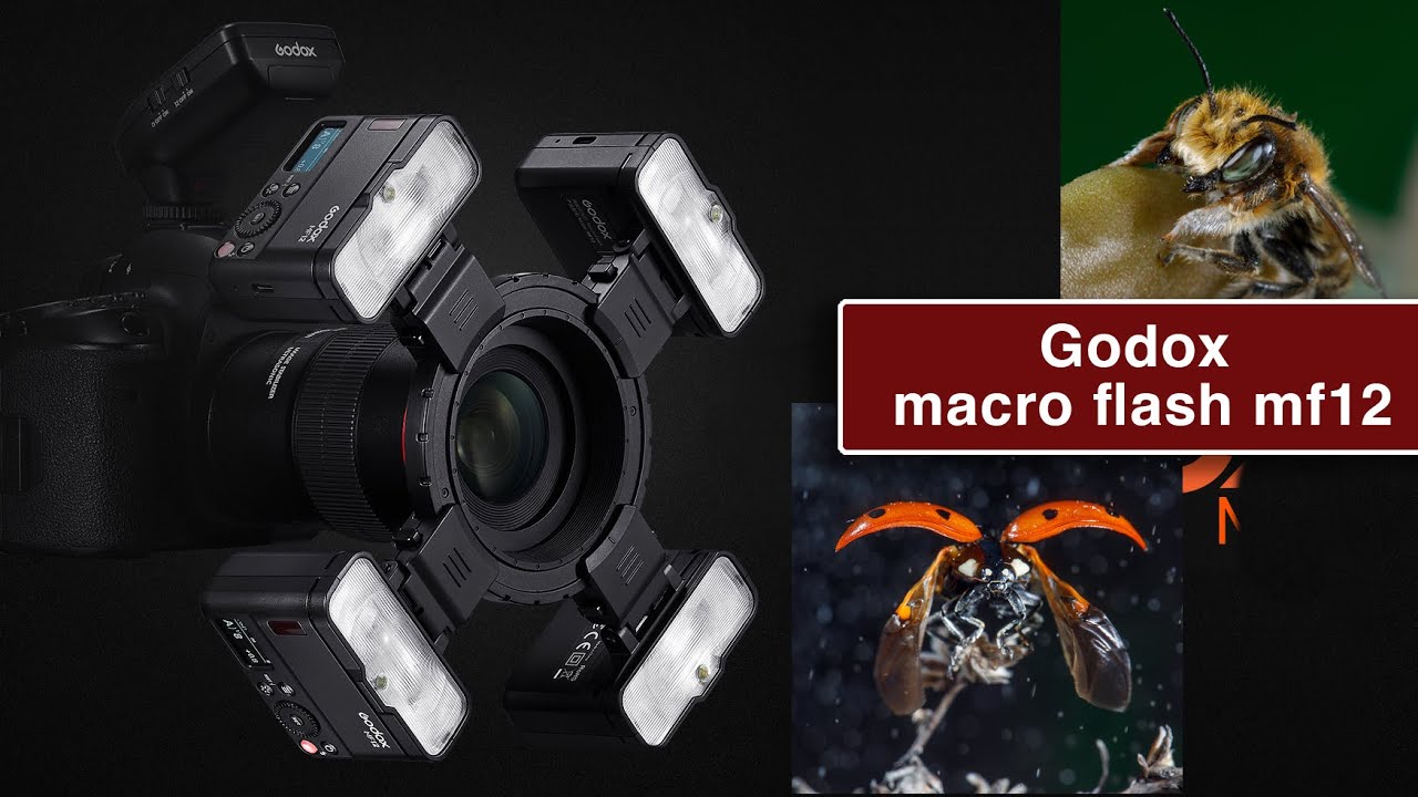 Godox Macro Flash MF12. Вспышка для макро съемки