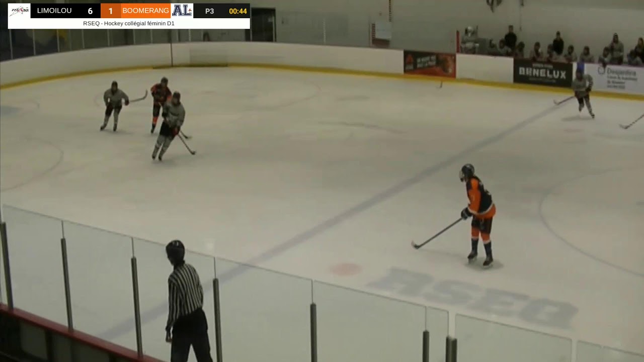 RSEQ Hockey feminin 🏒  Limoilou @ Andre-Laurendeau [2026-02-22]