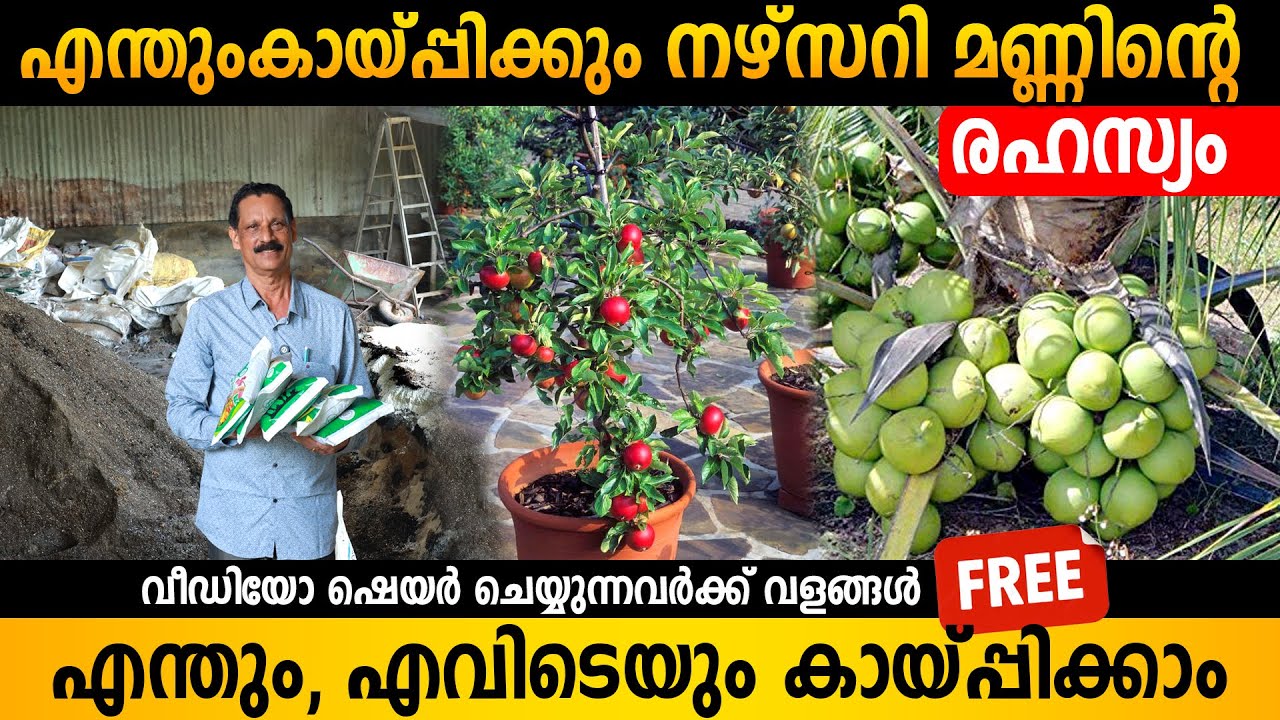 Секретные удобрения, используемые питомниками. Органические удобрения, которые заставят что угодн...