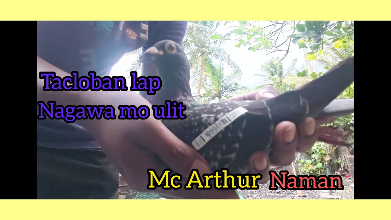 6TH LAP DERBY TACLOBAN LEYTE