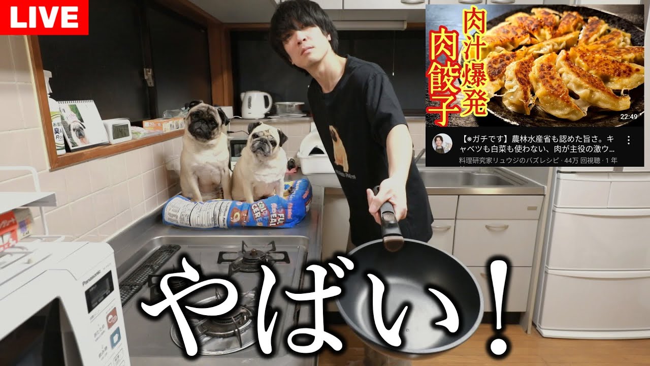 【生配信】料理研究家リュウジさんの動画見ながら人生で初めて餃子を作ります