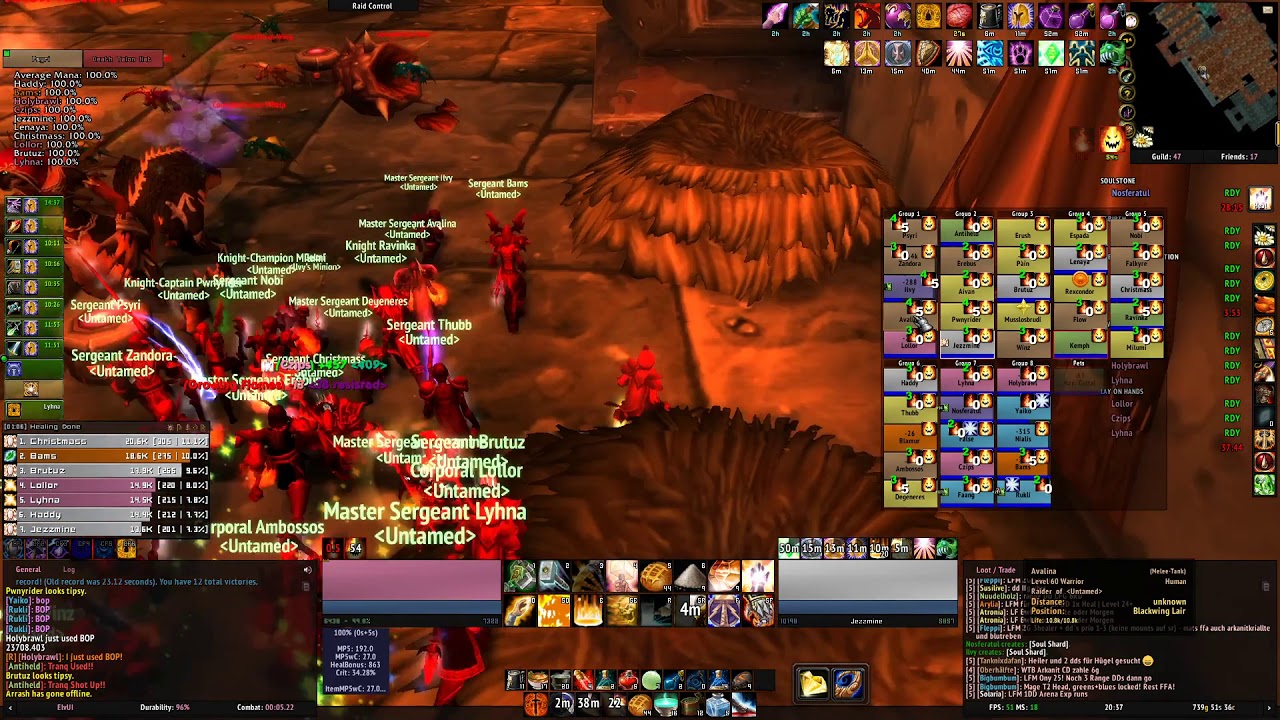 BWL Speedrun in 27:27 Paladin PoV Untamed Venoxis EU