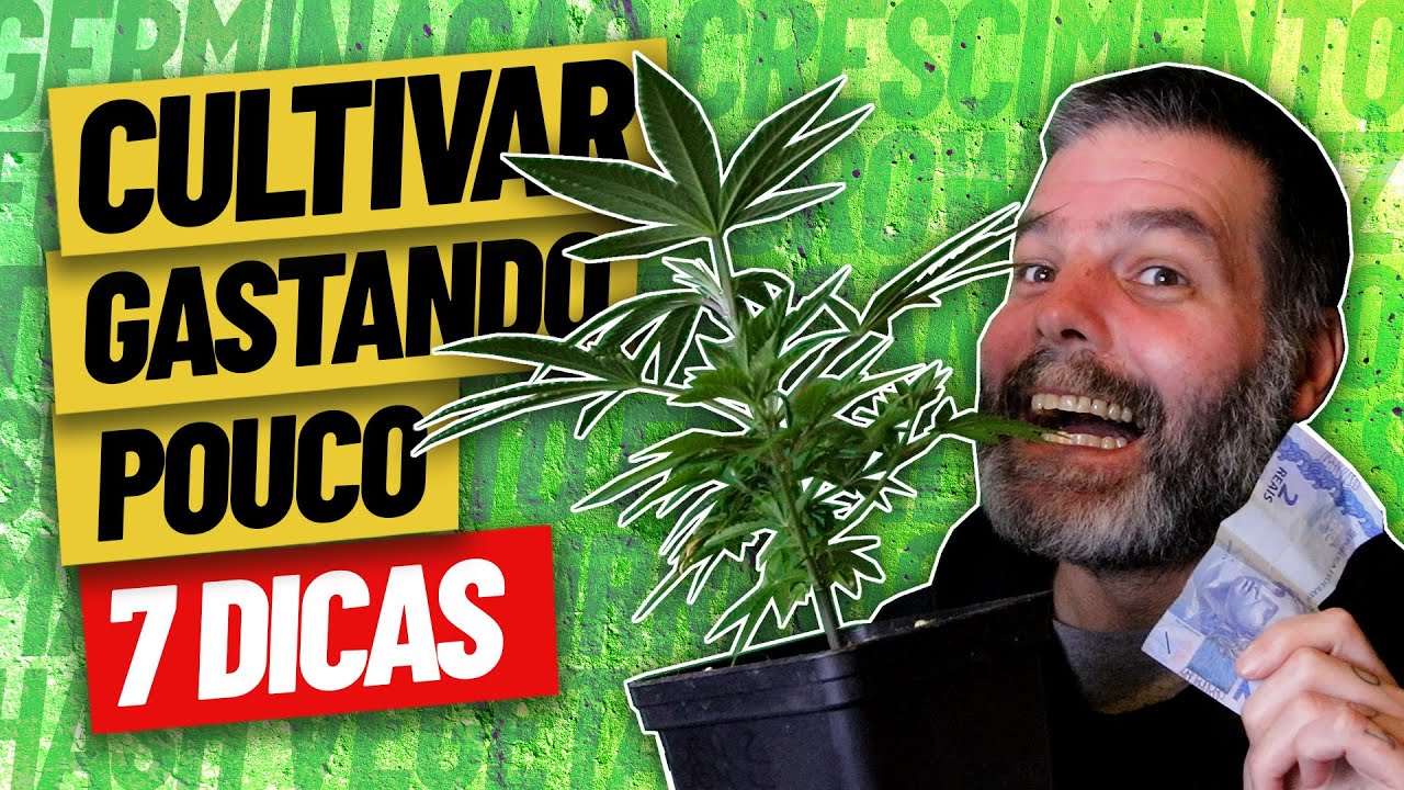 COMO PLANTAR MACONHA gastando bem pouco. (7 DICAS) #growroom #comoplantarmaconha