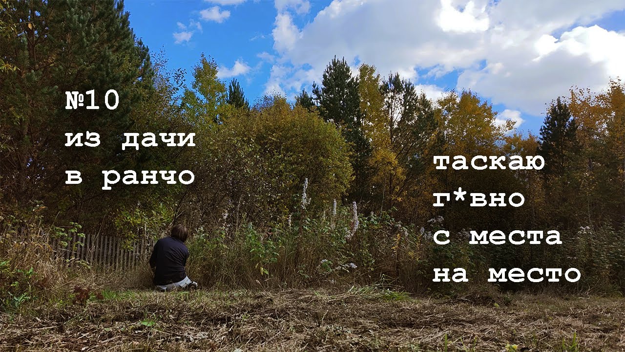 №10 Зачем таскать навоз? Ножовка и топор всегда работают. Заброшенная дача с её заброшенным мусором