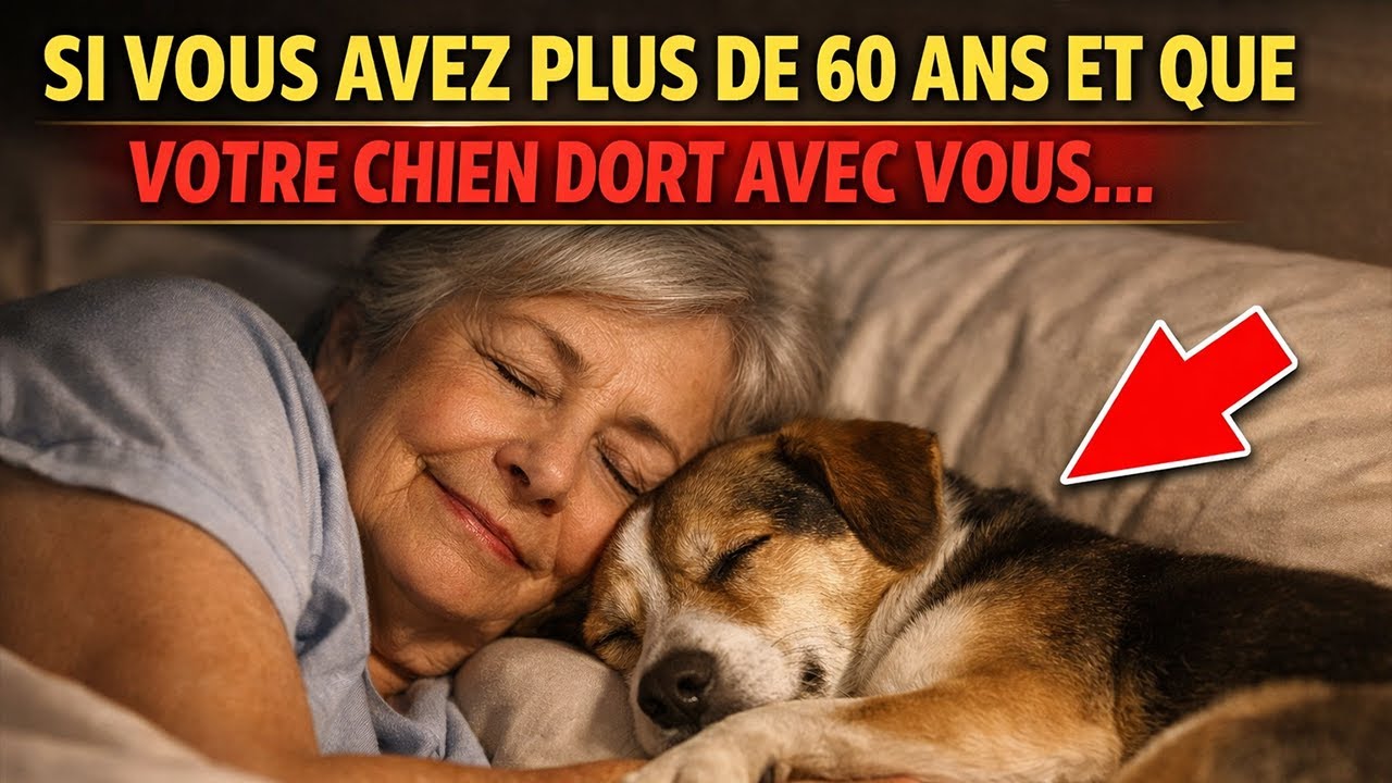Si vous avez plus de 60 ans et que votre chien dort avec vous, regardez ceci