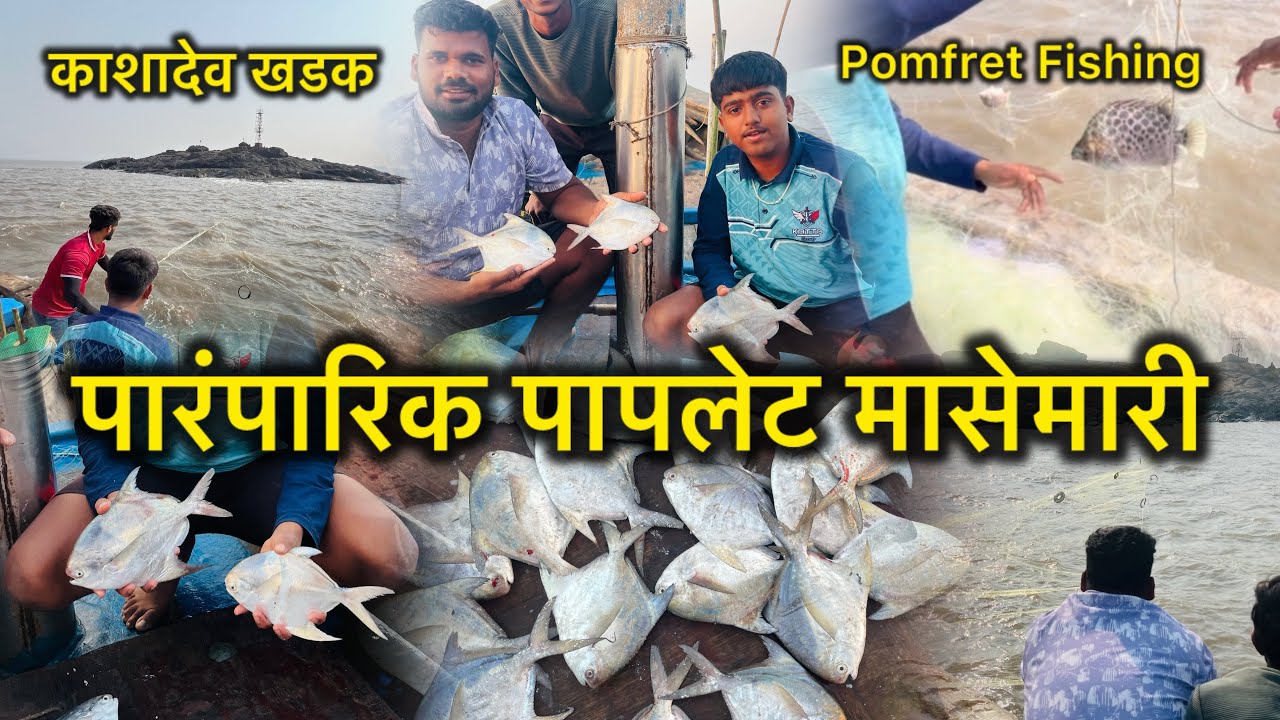 पारंपारिक पापलेट मासेमारी | काशादेव खडकावर पकडली भरपूर पापलेट मासे | Big Pomfret | Uran karanja 