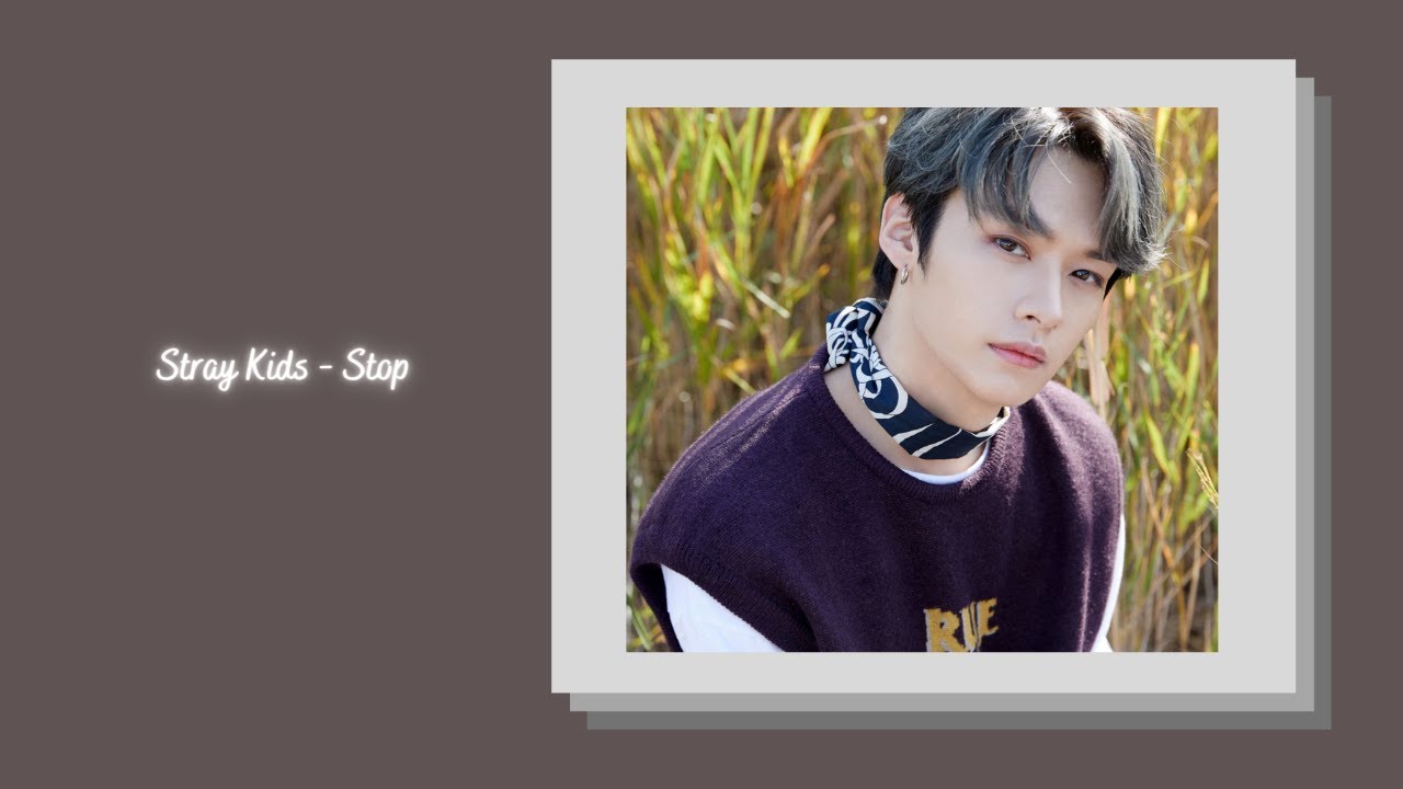 Stray Kids - Stop {slowed + reverb}