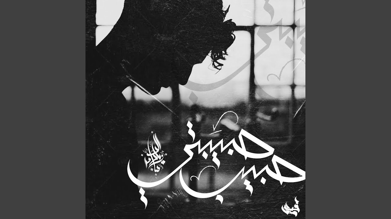 Habib Habibty