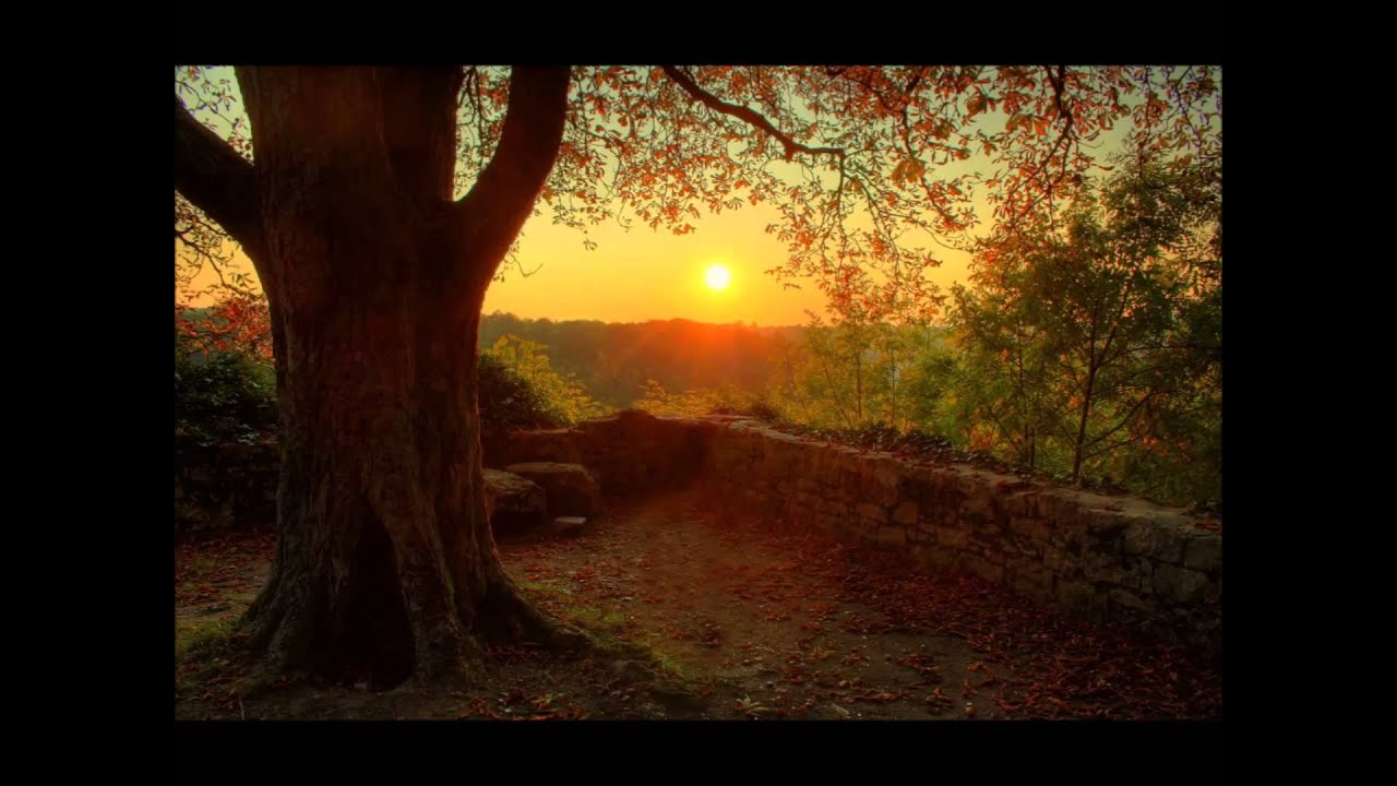 Careless Whisper - Intro loop ( Saxophone only)