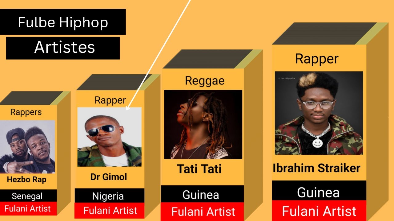 Fulbe Hiphop Artists From Different Countries - Data Comparison