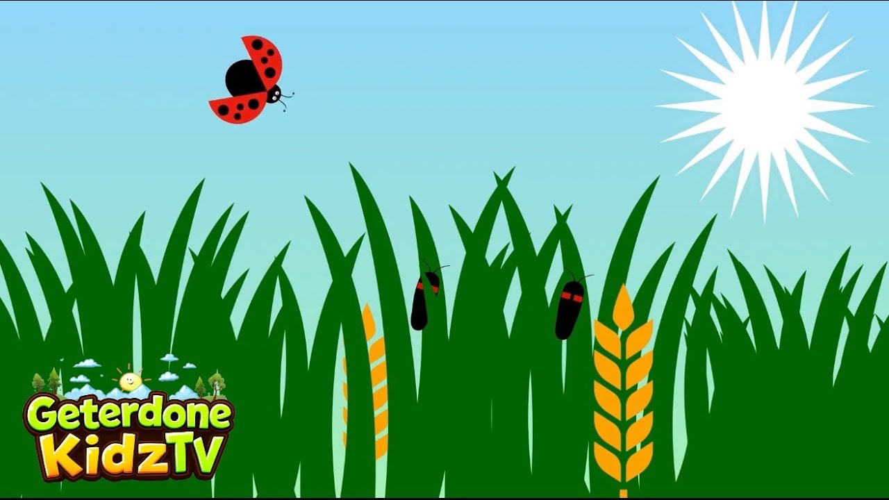 Lavern the Ladybug&rsquo;s Adventure: Fun Facts for Kids!