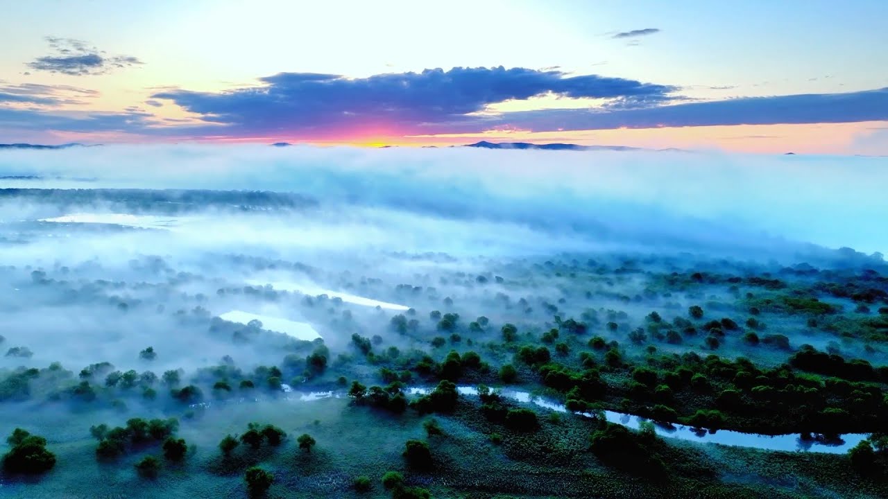 Aerial view of wetlands along Wusuli River