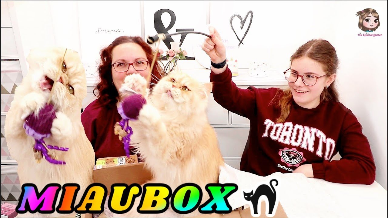KATZEN-POST 🎁 Unboxing der Fressnapf Miaubox und Fluffi dreht durch 🤪