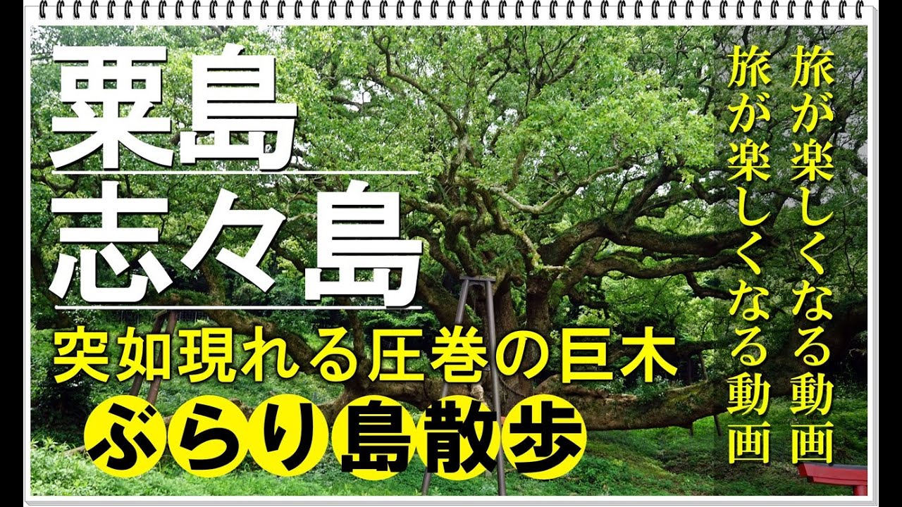 ぶらり島散歩【粟島・志々島】樹齢１２００年の神の巨樹、瀬戸内の島々の絶景を楽しむプチ登山、海を青く染める海ほたるの美　週末旅の下調べに最適動画！
