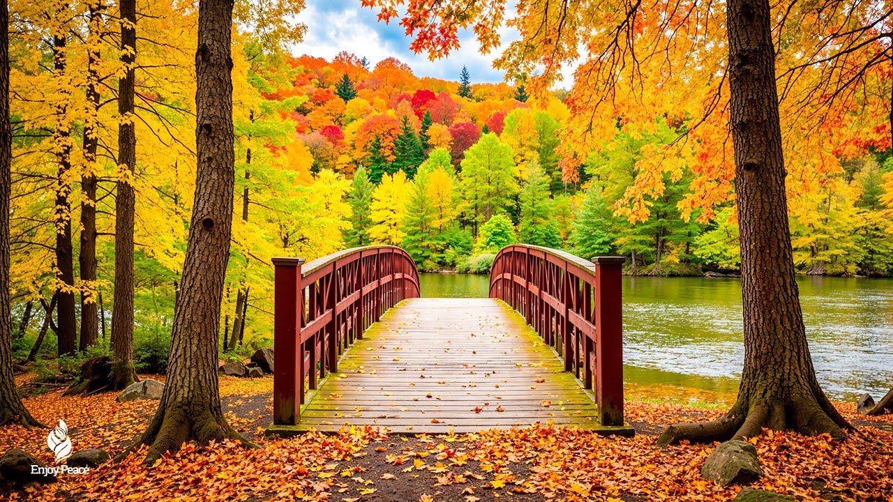 Beautiful Relaxing Music 🍁 Autumn Melodies for Stress Relief & Healing