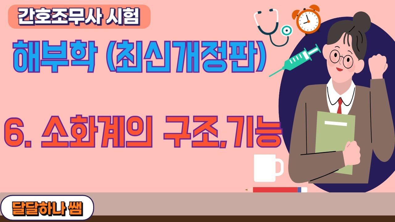 간호조무사시험 해부학 6.소화계의 구조