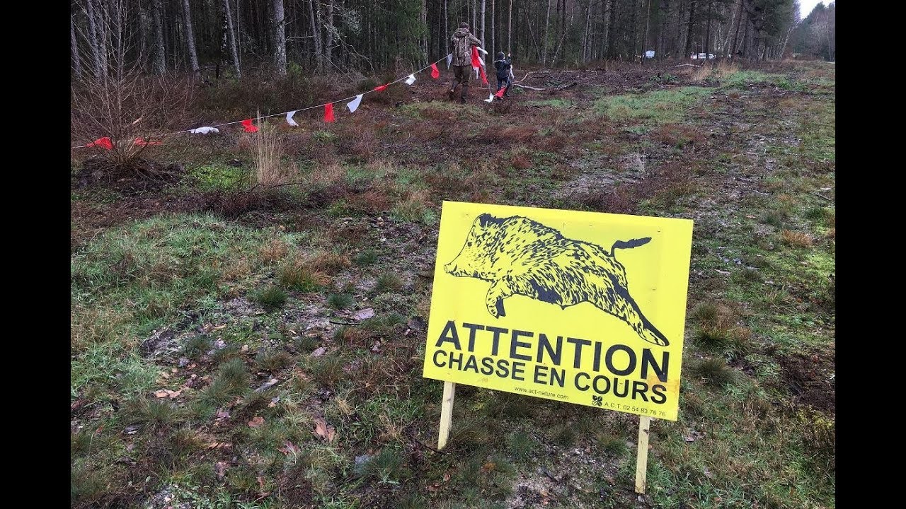 La Sologne engrillagée, un magazine sur les clôtures qui enferment des animaux pour la chasse