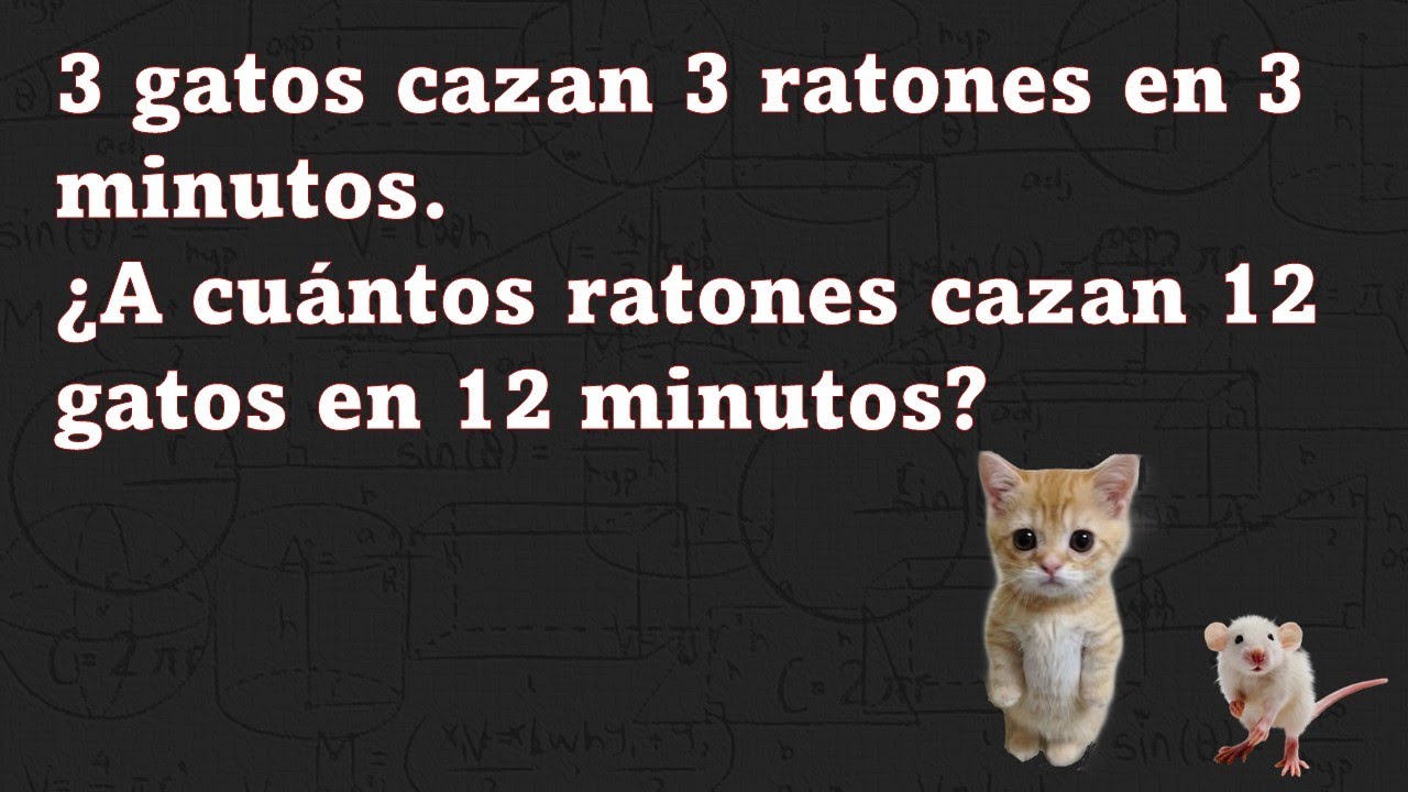 EXPLICACIÓN  del reto de los 3 gatos que cazan 3 ratos en 3 minutos.