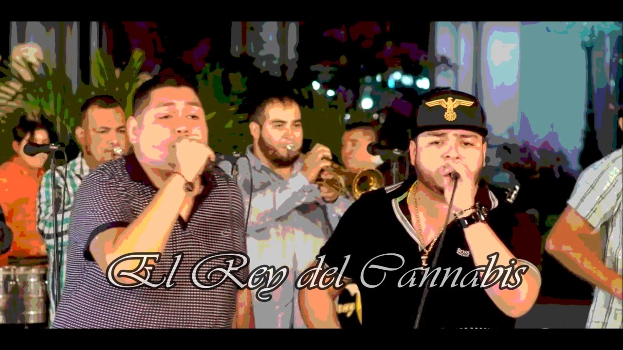 EL REY DEL CANNABIS - LENIN RAMIREZ FT LOS CHAIREZ 2017