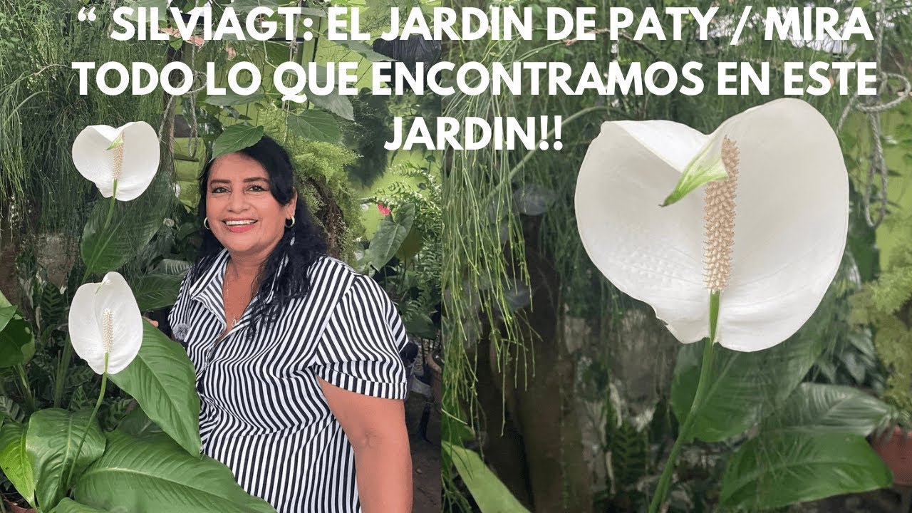 EL JARDIN DE SILVIAGT: 
