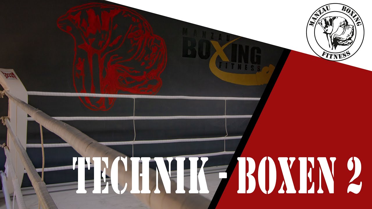 TECHNIK - BOXEN + EXPLOSIV KRAFT | 30 MIN