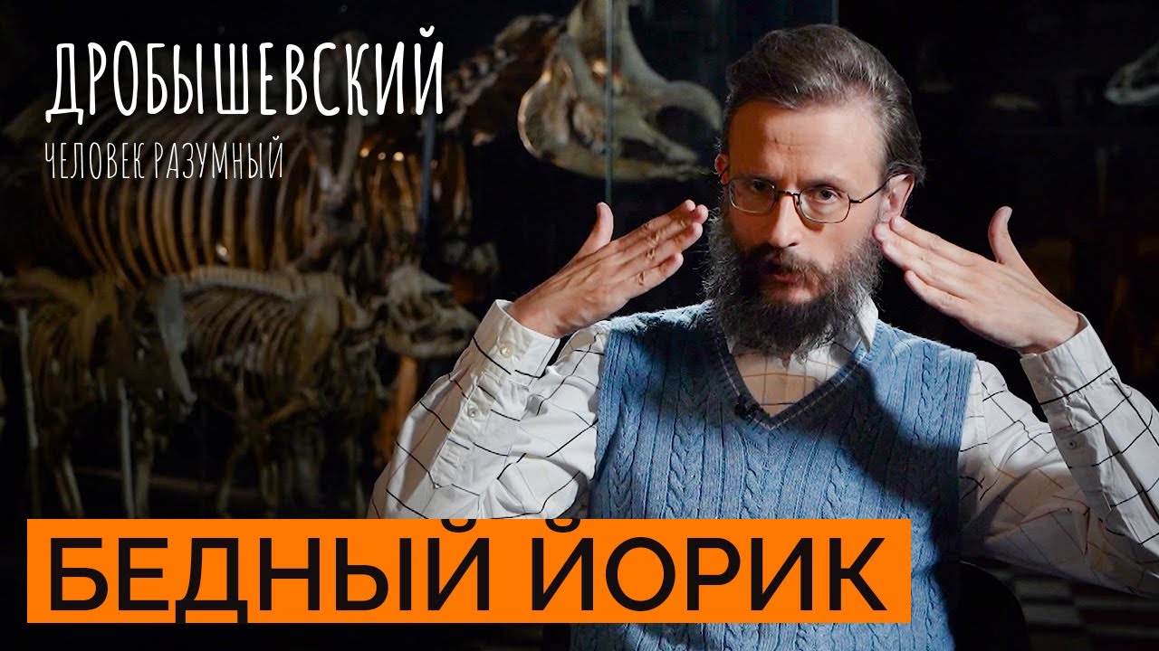 Эволюция черепа: от первых обезьян до современного человека // Дробышевский. Человек разумный