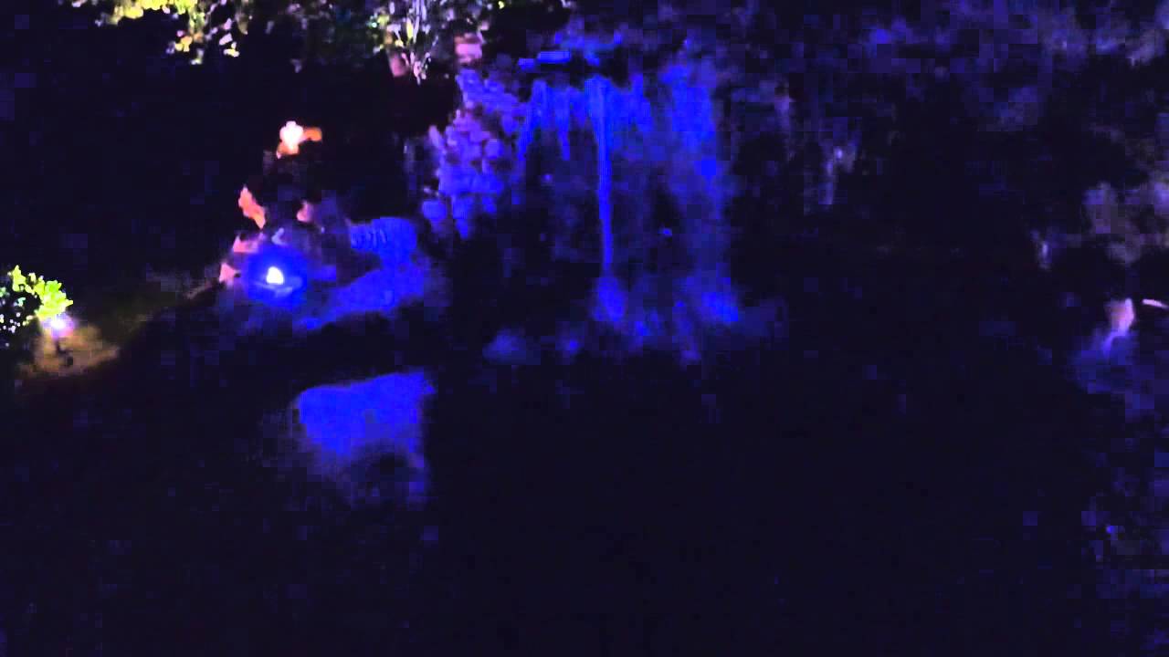 Tiger Safari at night!!!!!