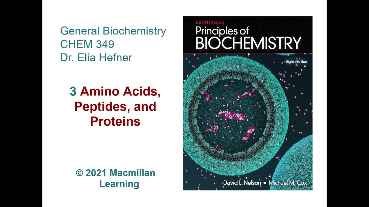 Chapter 3 - Amino Acids, Peptides, and Proteins