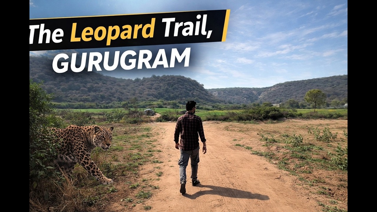 Leopard Trail with the Boys....Things Got Wild!