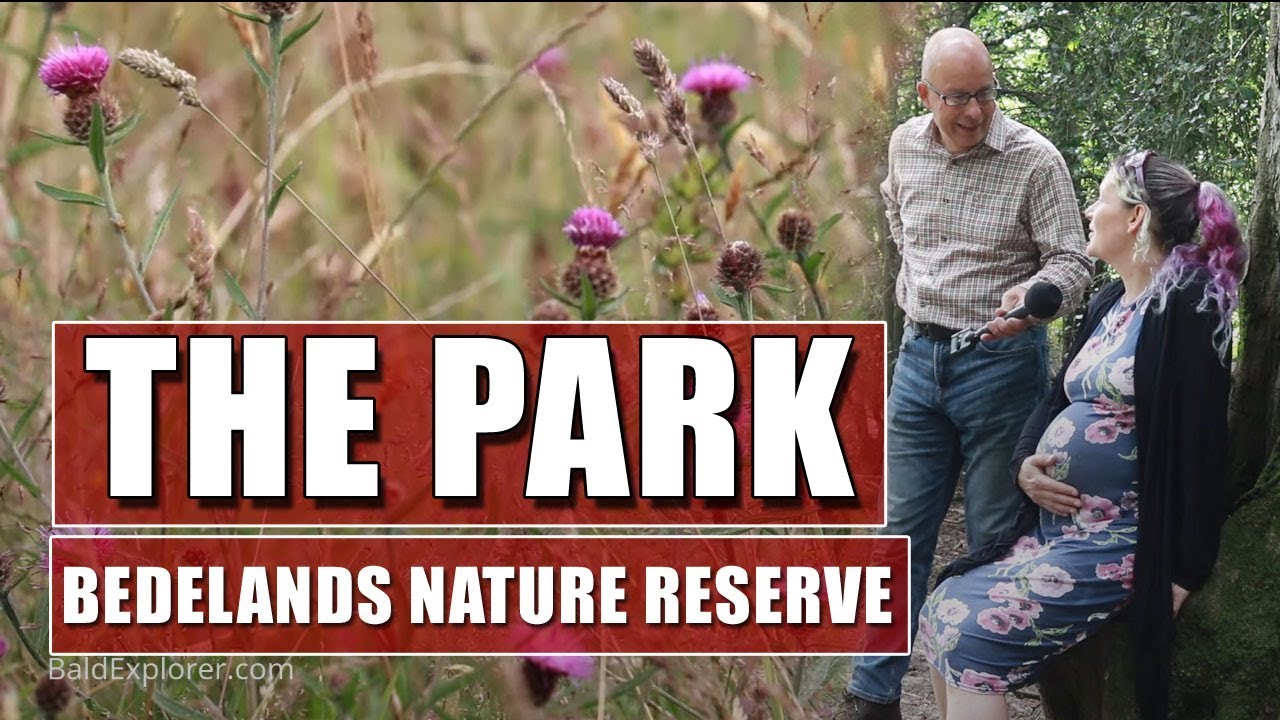 The Park - Bedelands Farm Local Nature Reserve