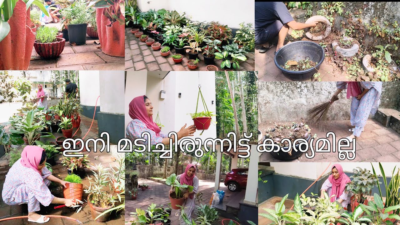 റമളാൻ ഇങ്ങടുത്തെത്തി 🥰ഇവരെയും ഒന്ന് പരിഗണിക്കാണ്ടേ. #gardenorganisation #cleaning #familyvlog #vlog