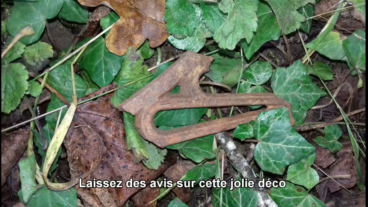 #détectiondemétaux Je passe le détecteur de métaux DANS CE BOIS INCROYABLE ..  @TrésorsSecrets