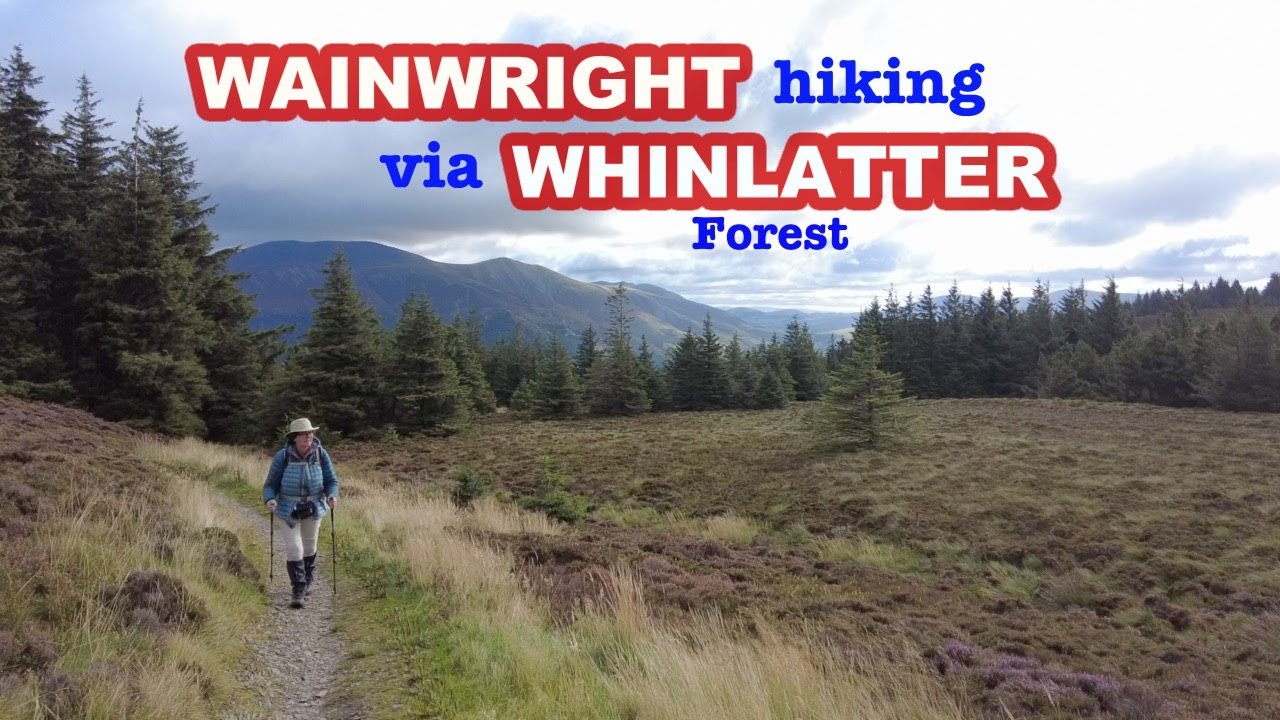 Wainwright Fell hiking from Whinlatter Forest / Best of the Lake District