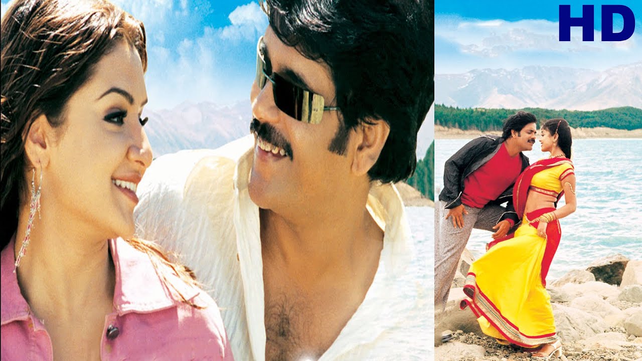Bangla Dubbed South Superhit Action Movie | Nagarjuna | Shriya