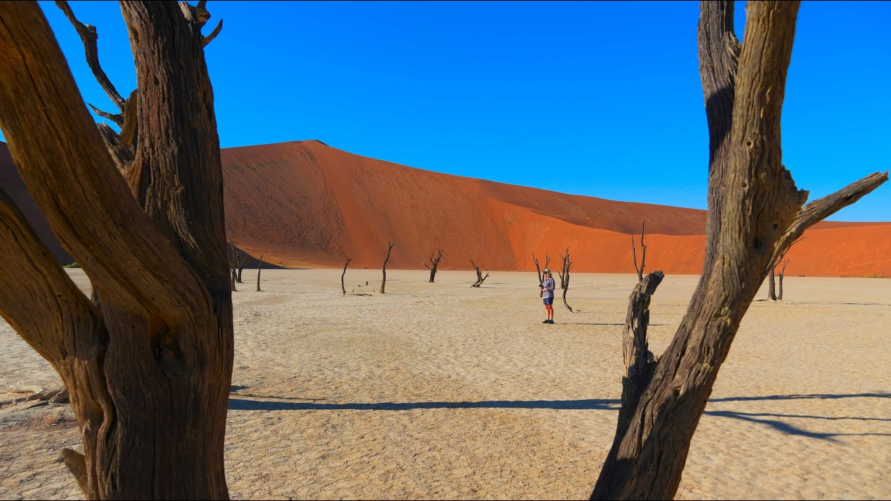 Exploring Namibia's desert wilderness