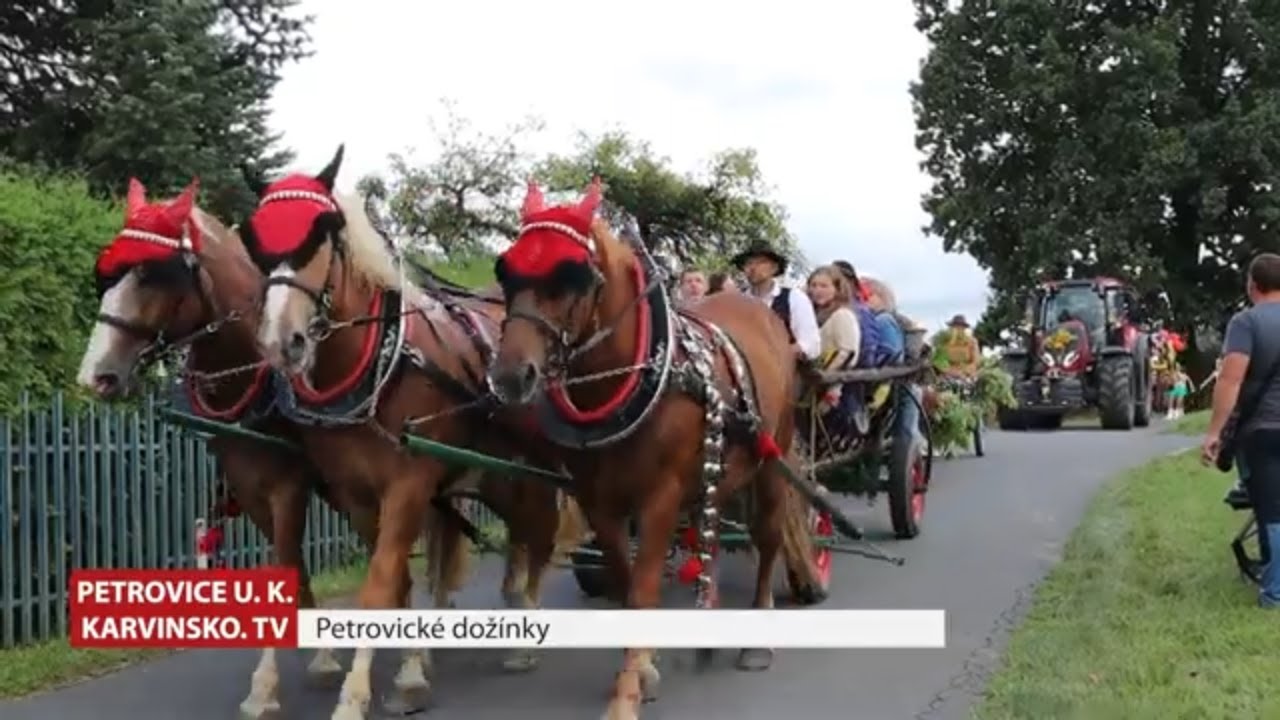 Petrovice u Karviné ► Petrovické dožínky │ #Karvinsko.TV │ @TelevizeKarvinsko