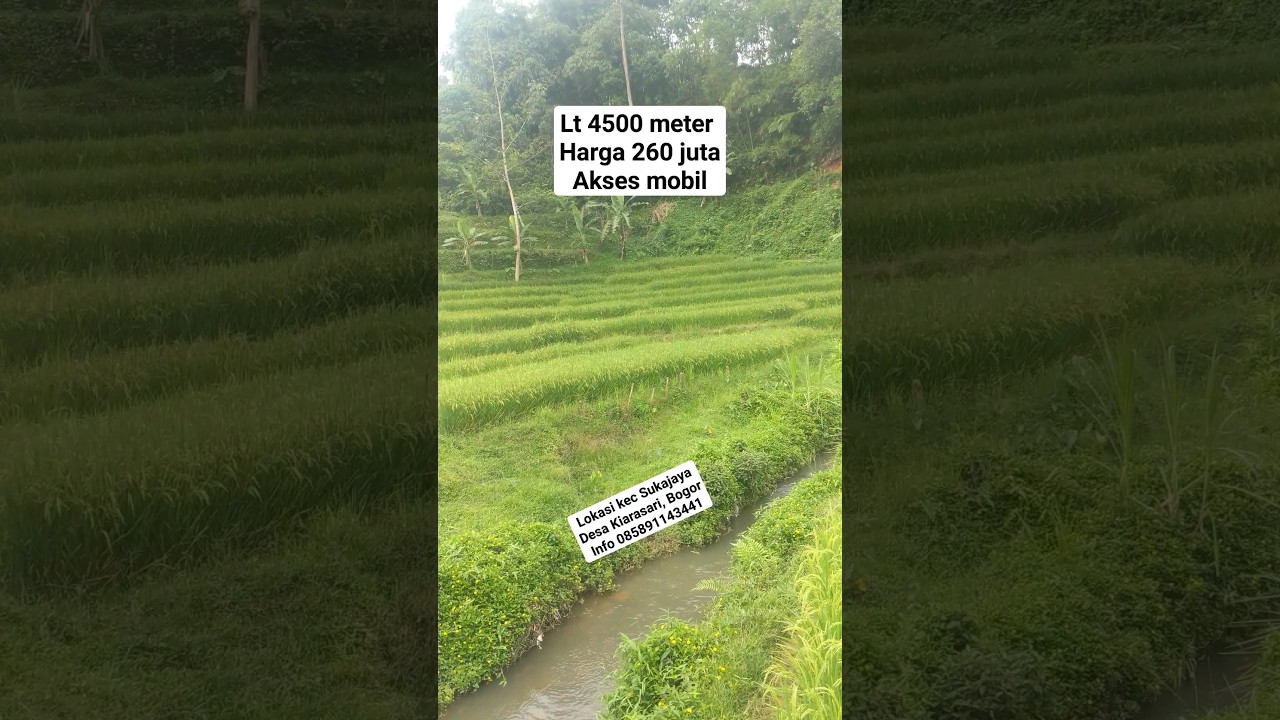 dijual tanah plus sawah akses mobil nemepl sungai #tanahmurah #tanahbagus #viralvideo