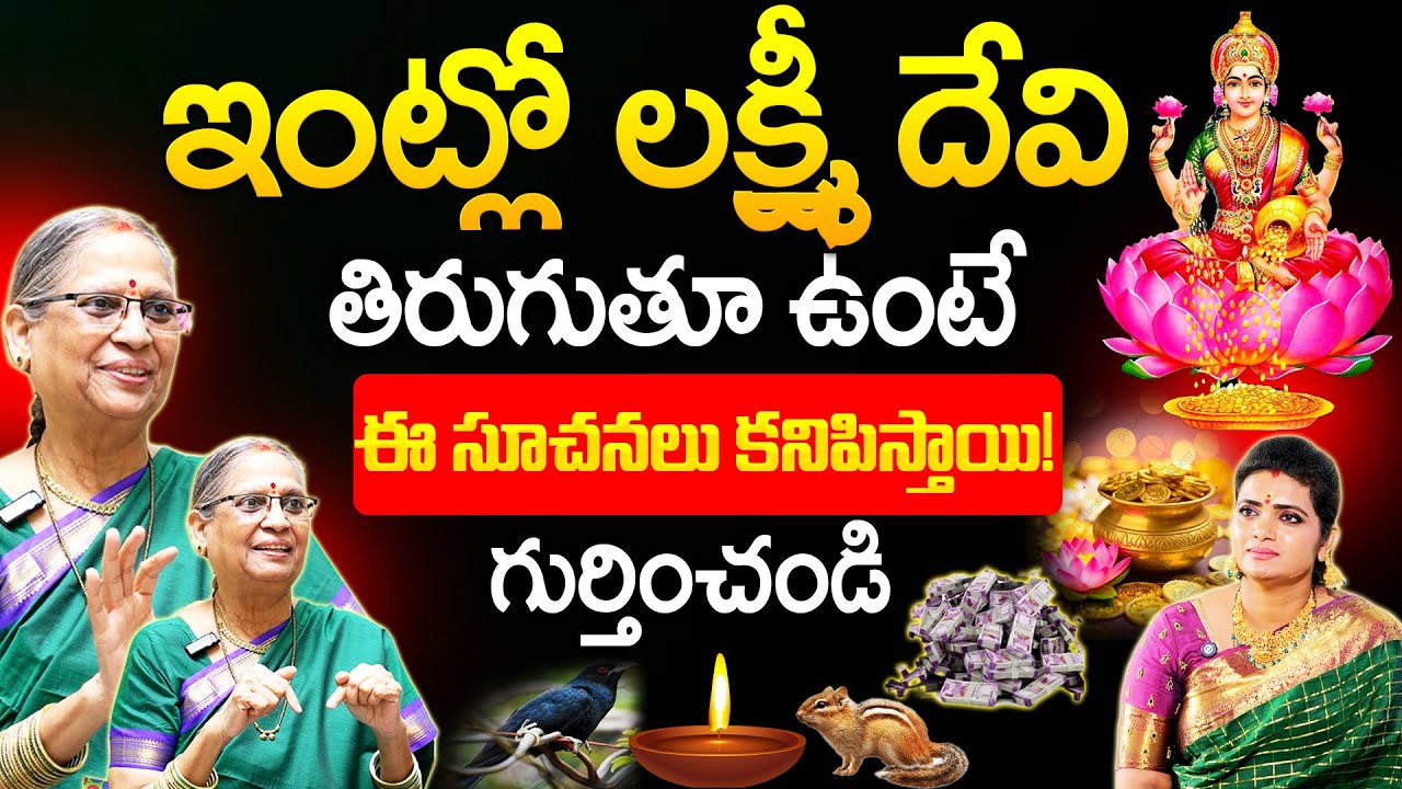 VIJAYALAKSHMI - మీ ఇంట్లో లక్ష్మీదేవి తిరుగుతూ ఉంటే కనిపించే సూచనలు ఇవే|lakshmi kataksham sankethalu