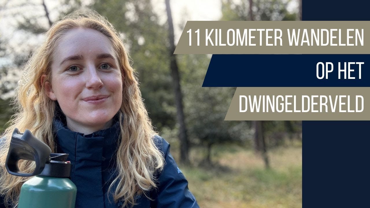 Een plankenpad en het beste bankje van Drenthe op deze wandeling van 11 km over het Dwingelderveld