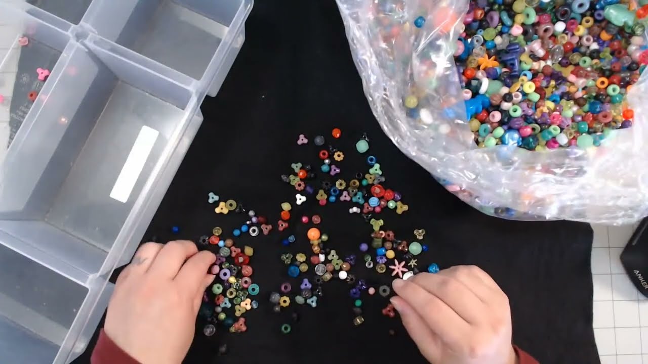 Sorting 5lb Box of Amazon Beads